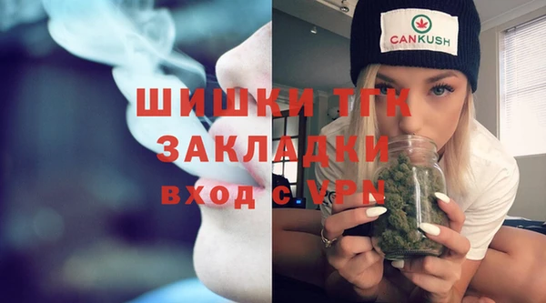 PSILOCYBIN Сосновый Бор