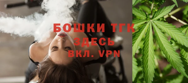 PSILOCYBIN Сосновый Бор