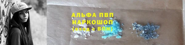 PSILOCYBIN Сосновый Бор