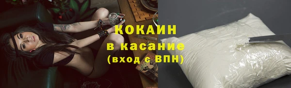 соль ск Сосновоборск