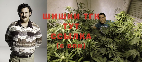 дживик Струнино