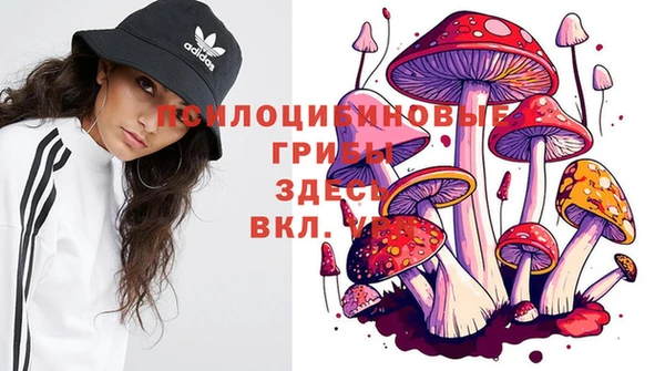 марки nbome Строитель