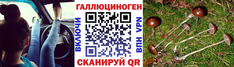 Галлюциногенные грибы Psilocybe  Старый Оскол 