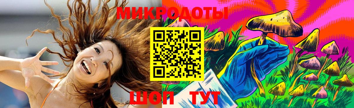 Псилоцибиновые грибы прущие грибы Старый Оскол